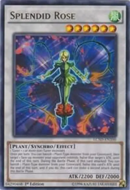 Splendid Rose