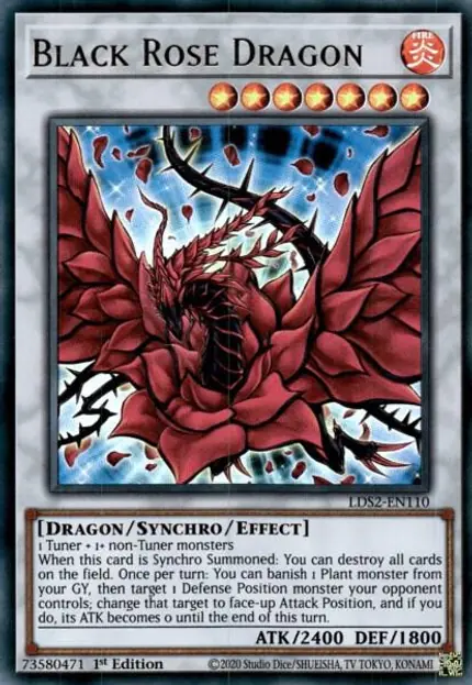 Black Rose Dragon