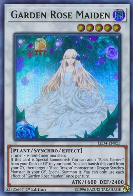 Garden Rose Maiden