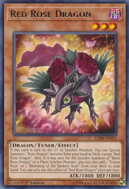 Red Rose Dragon