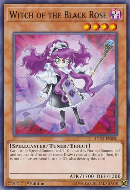 Witch of the Black Rose