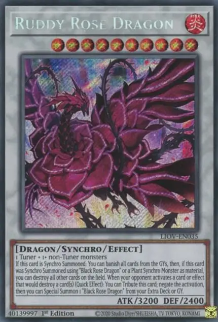 Ruddy Rose Dragon