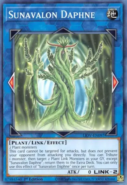 Sunavalon Daphne