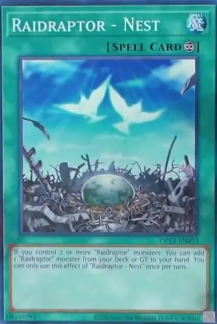 Raidraptor - Nest