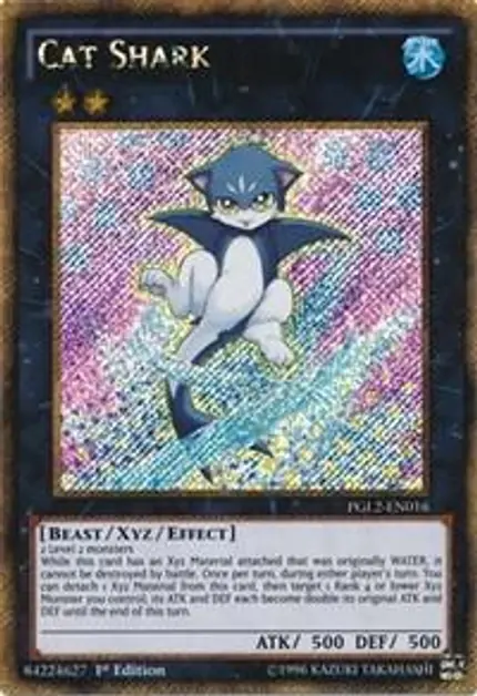 Cat Shark