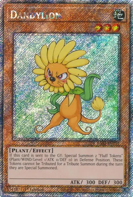 Dandylion