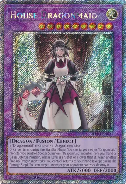 House Dragonmaid