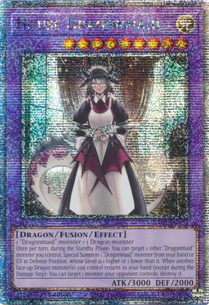 House Dragonmaid
