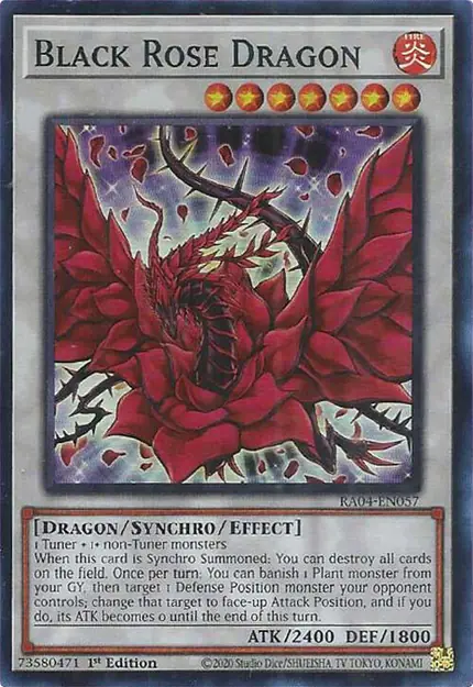 Black Rose Dragon