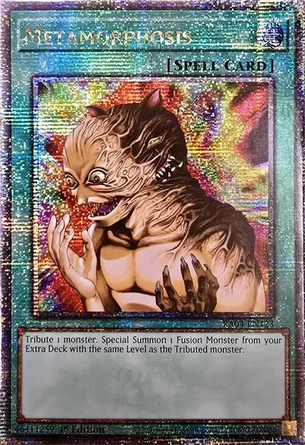 Metamorphosis