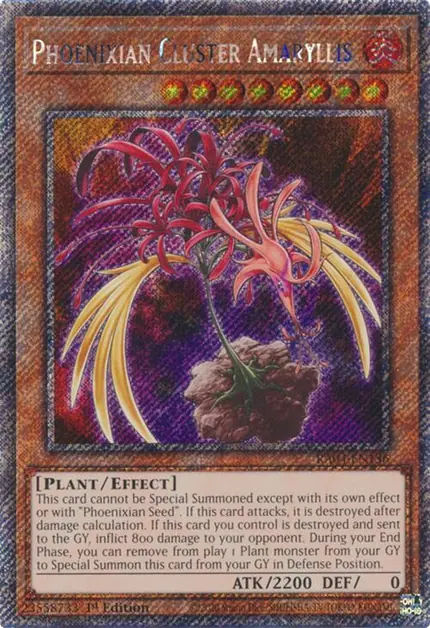 Phoenixian Cluster Amaryllis