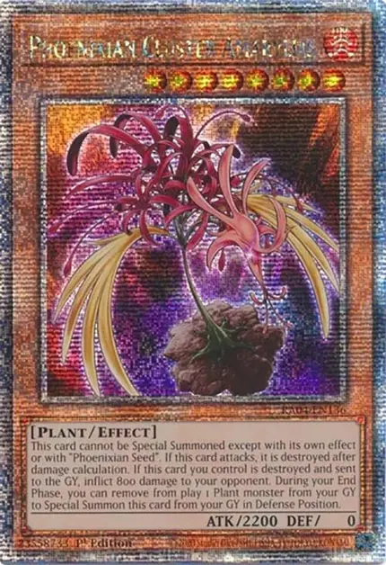 Phoenixian Cluster Amaryllis