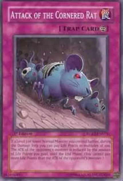 Attack of the Cornered Rat