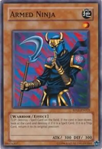 Armed Ninja
