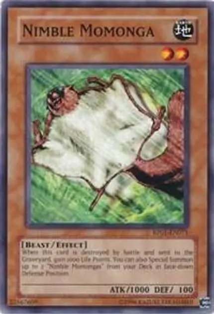Nimble Momonga