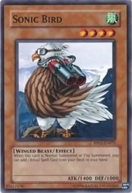 Sonic Bird