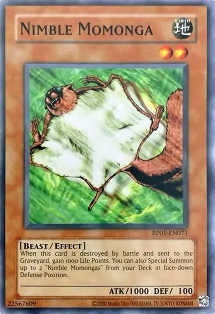Nimble Momonga