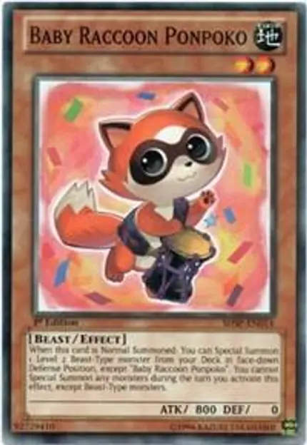 Baby Raccoon Ponpoko
