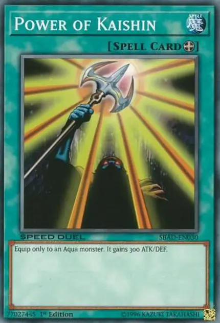 Power of Kaishin