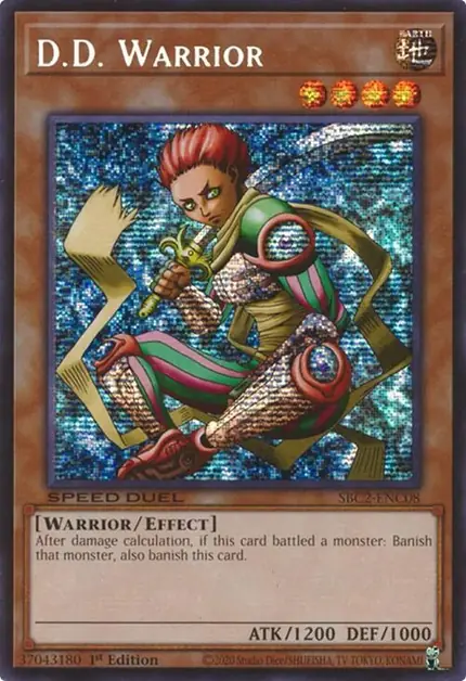 D.D. Warrior (PSR)