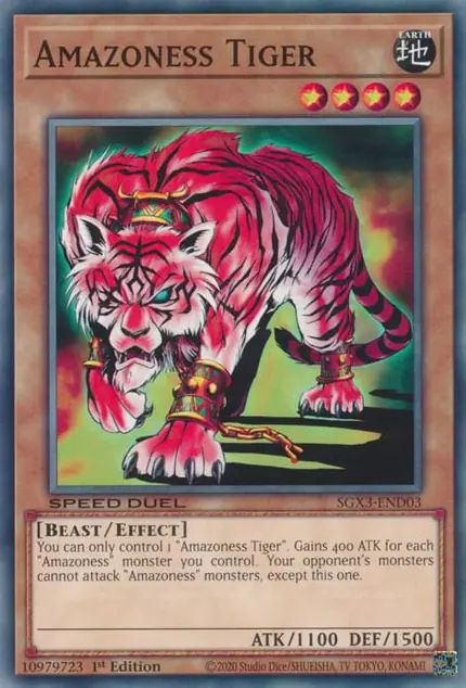 Amazoness Tiger