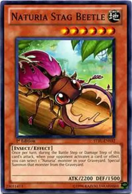 Naturia Stag Beetle