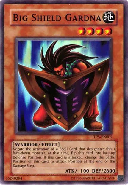 Big Shield Gardna