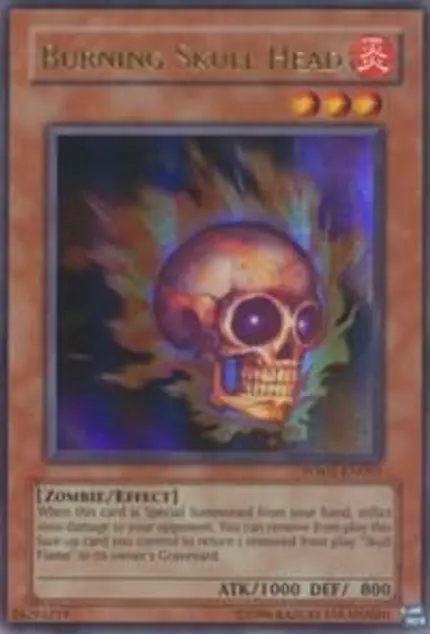 Burning Skull Head